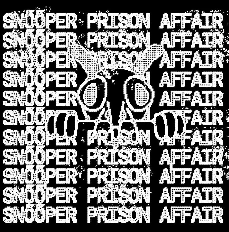 Prison Affair/Snooper - Split 7"